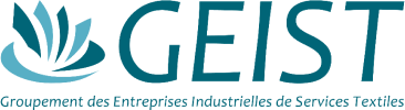 logo Geist